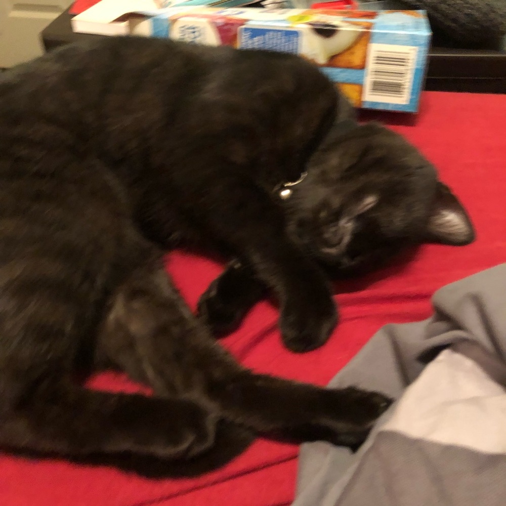 Meet your Posher, Finn
